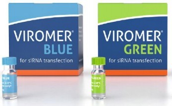 Viromer&reg; BLUE���{(l��n)����GREEN���G��siRNA��miRNA�D(zhu��n)Ⱦԇ��