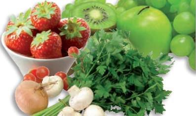 Demeditec �^��ԭ�\��ԇ���У�ELISA����