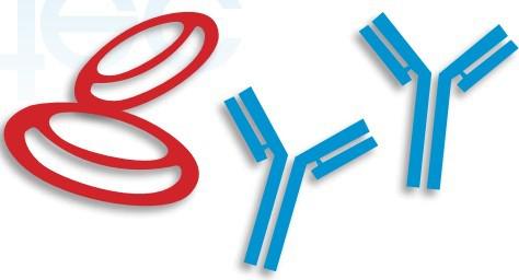 Demeditec �������߼����\��ԇ���У�ELISA����